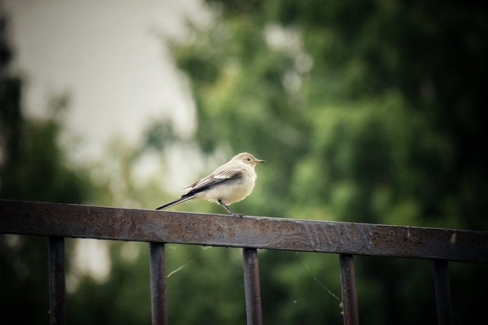 Photograph by Митюшкова Алёна