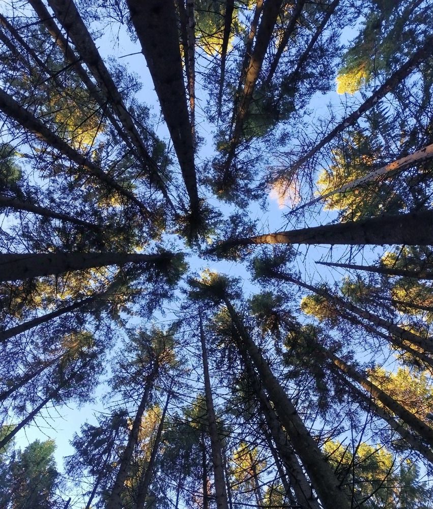 Photograph by Юлия Смирнова