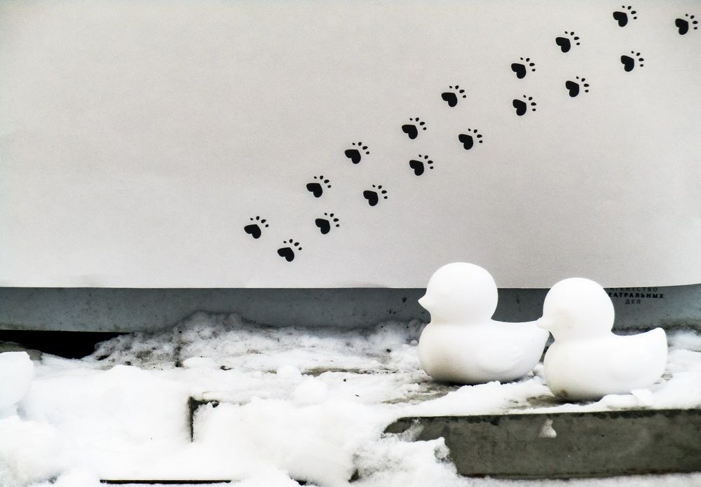 Photograph by Алексей Огненный