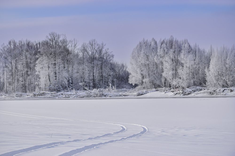 Зимний наряд природы