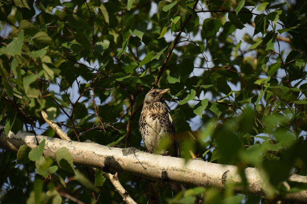 Photograph by Митюшкова Алёна