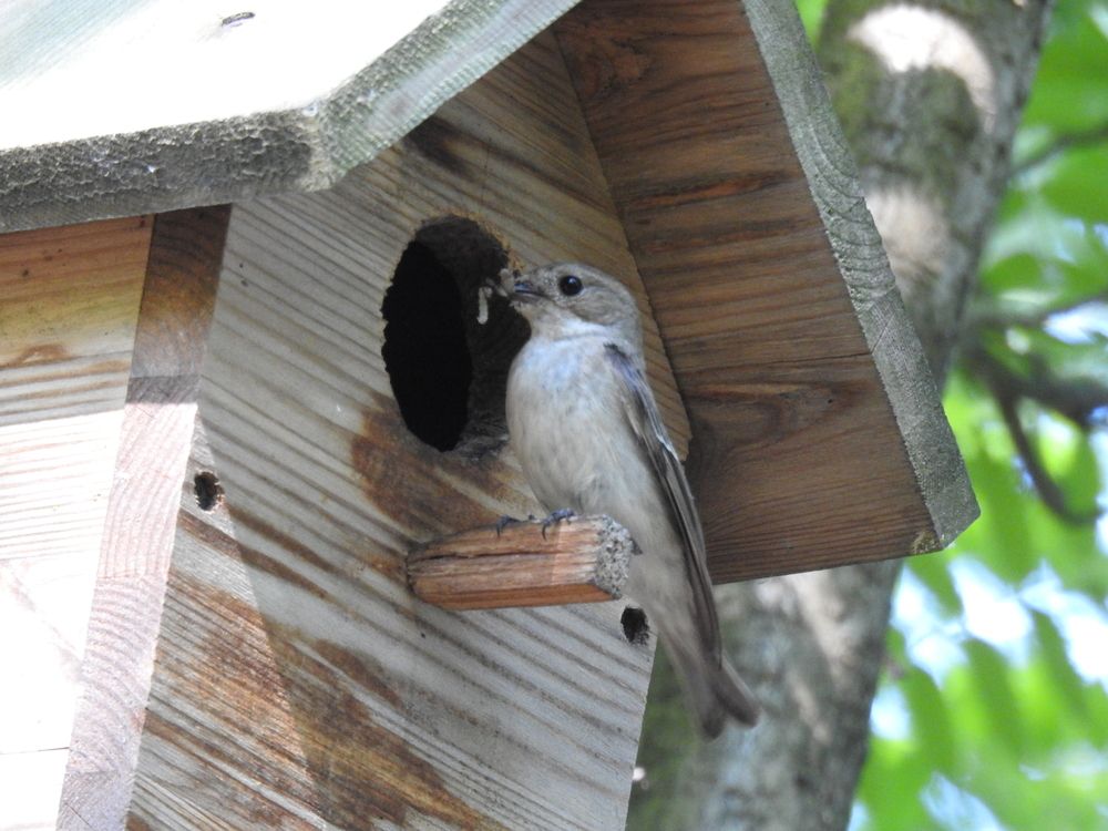 Photograph by Георгий Салюков