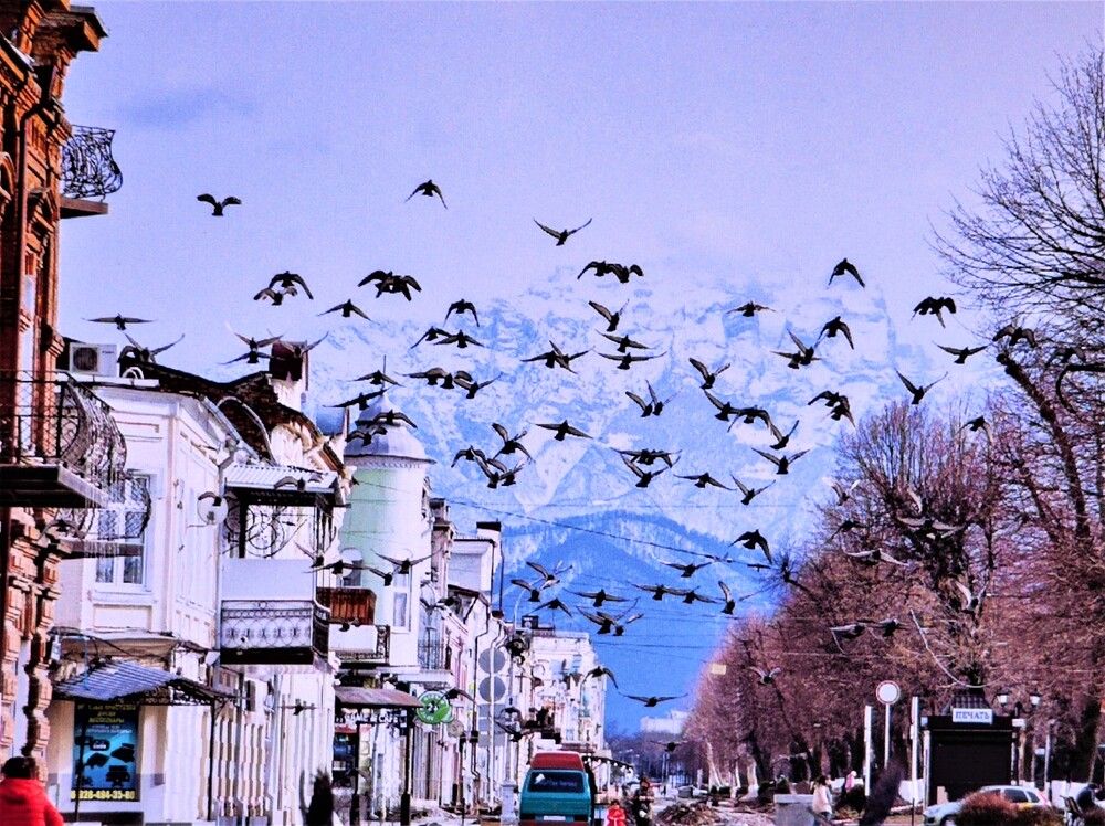 Photograph by Галина