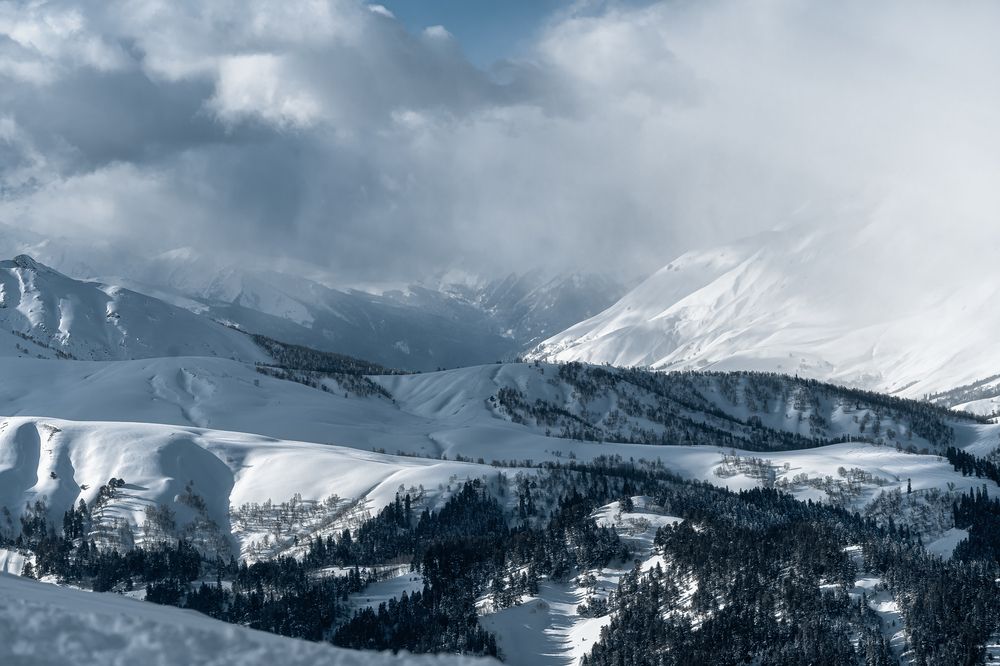 Фотография автора Анастасия Мазурева