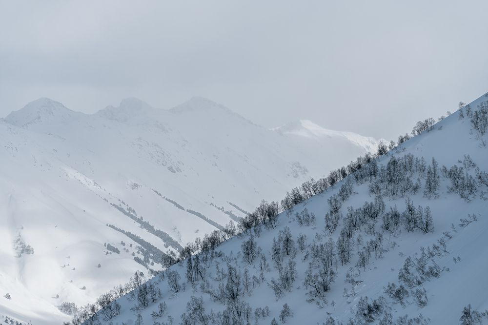 Фотография автора Анастасия Мазурева