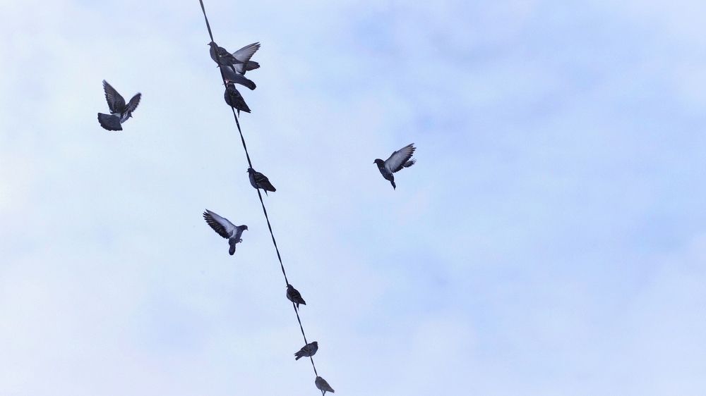 Photograph by Марина Артемьева