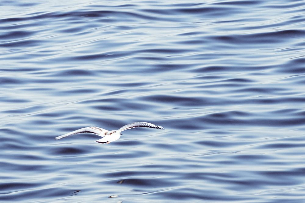 Photograph by Anna Amarova