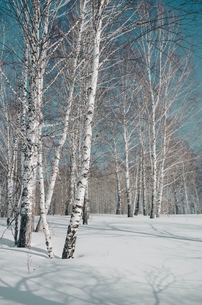 Photograph by Полина Котегова