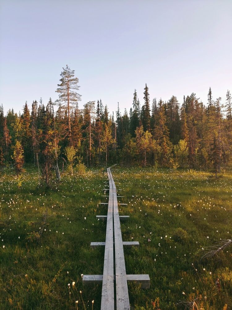 Photograph by Олег Васильев