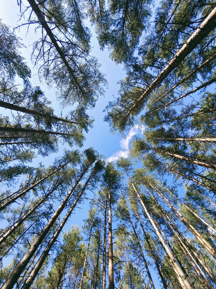 Photograph by Олег Васильев