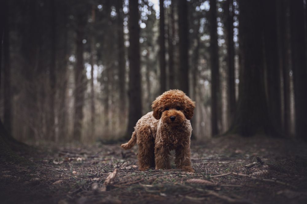 Photograph by Анастасия Жучкова