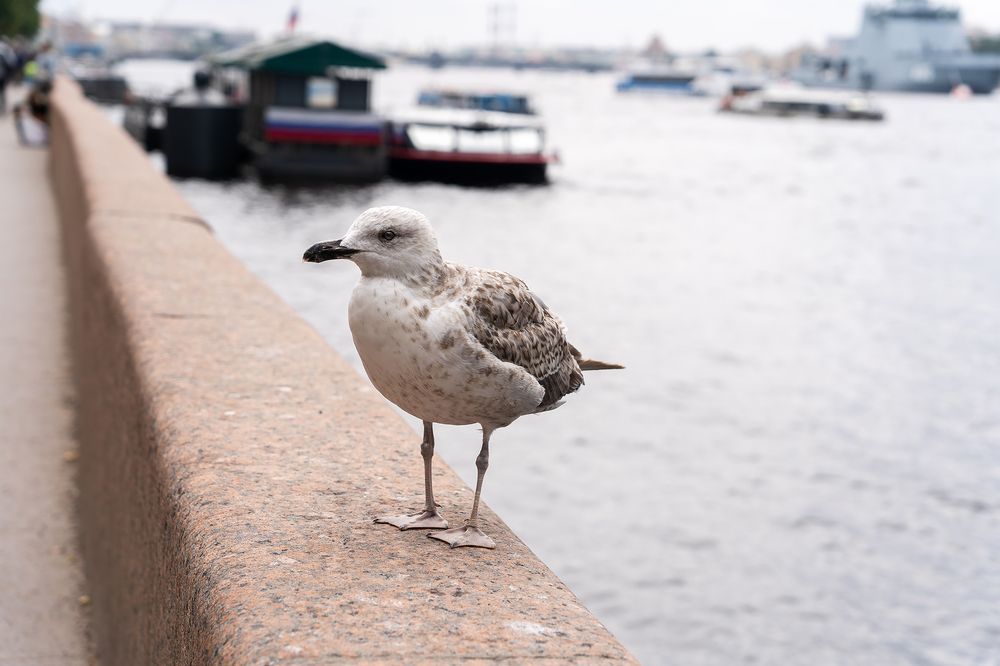 Photograph by Наталья Коржова