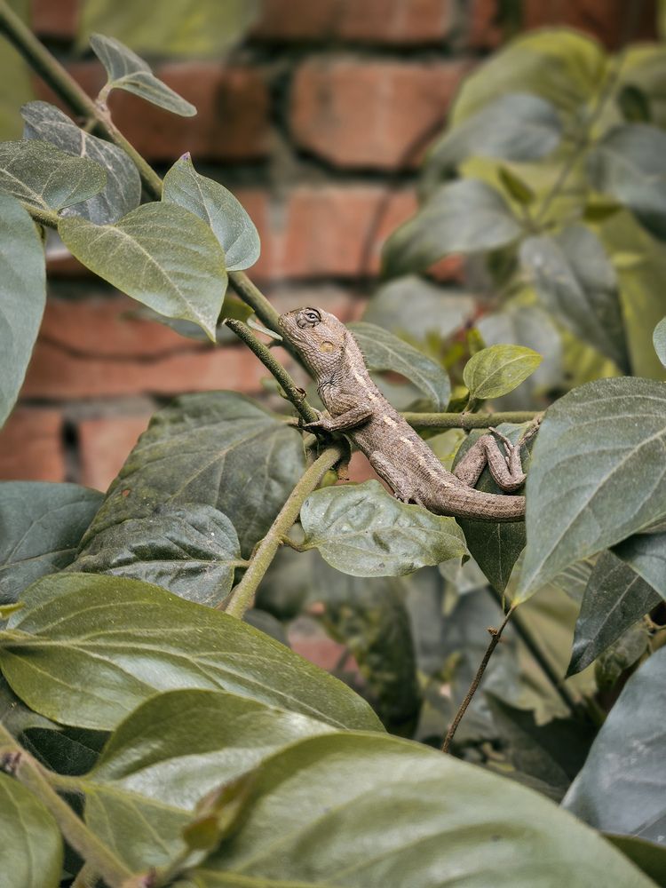 Photograph by Puru Raj