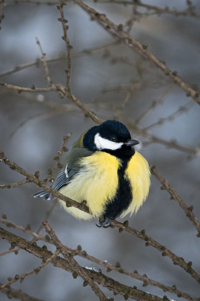 Photograph by Илья Горшенков