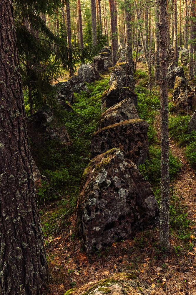 Photograph by Anna Amarova