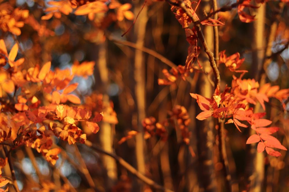 Photograph by Виктория Семенюта