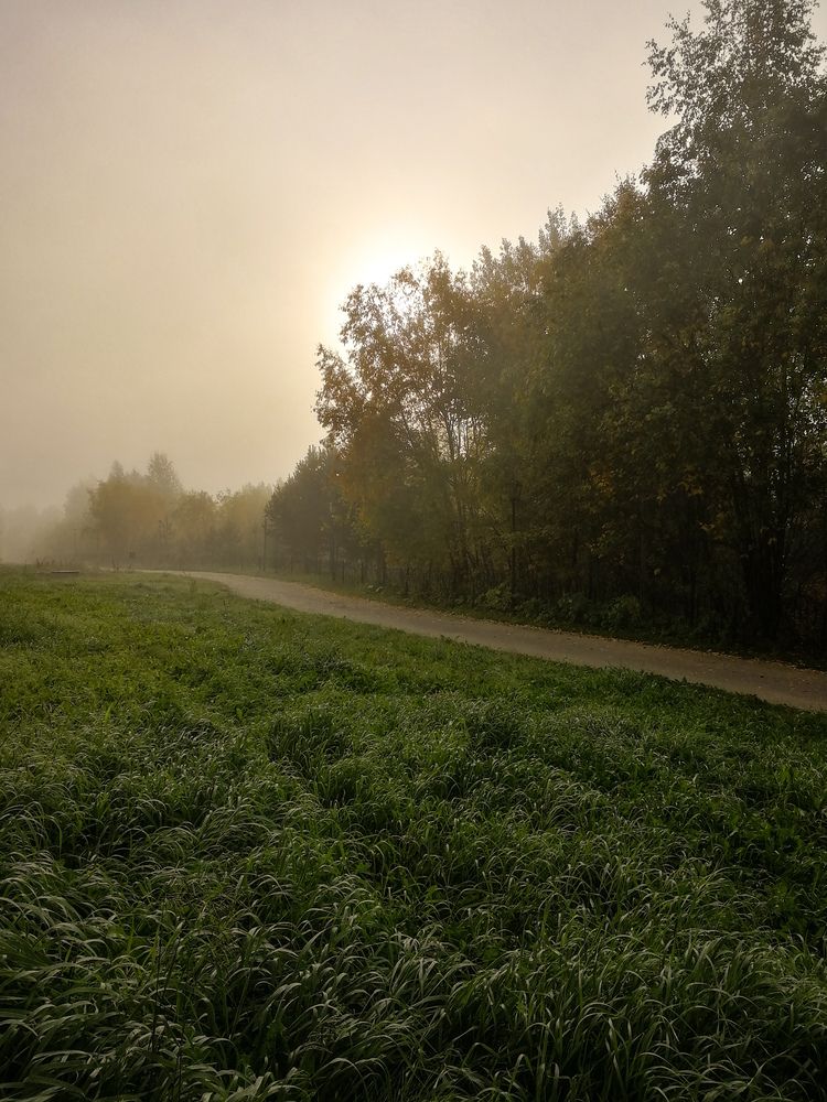 Photograph by Виктория Семенюта