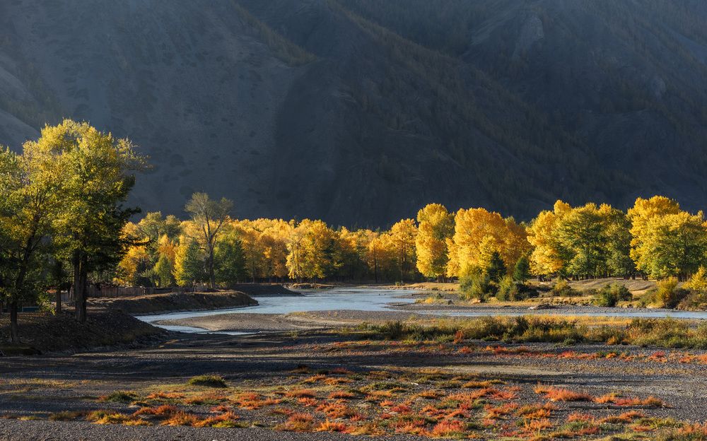 Photograph by Дубровская Екатерина