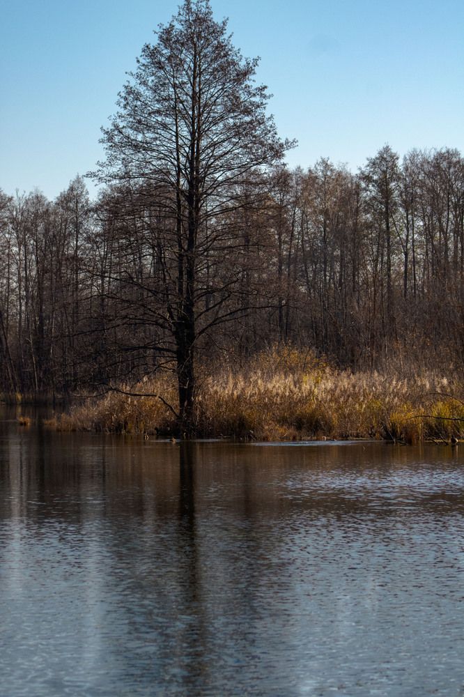 Photograph by Инна Леонтьева