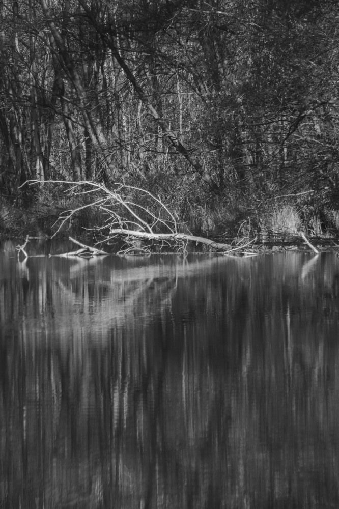 Photograph by Инна Леонтьева