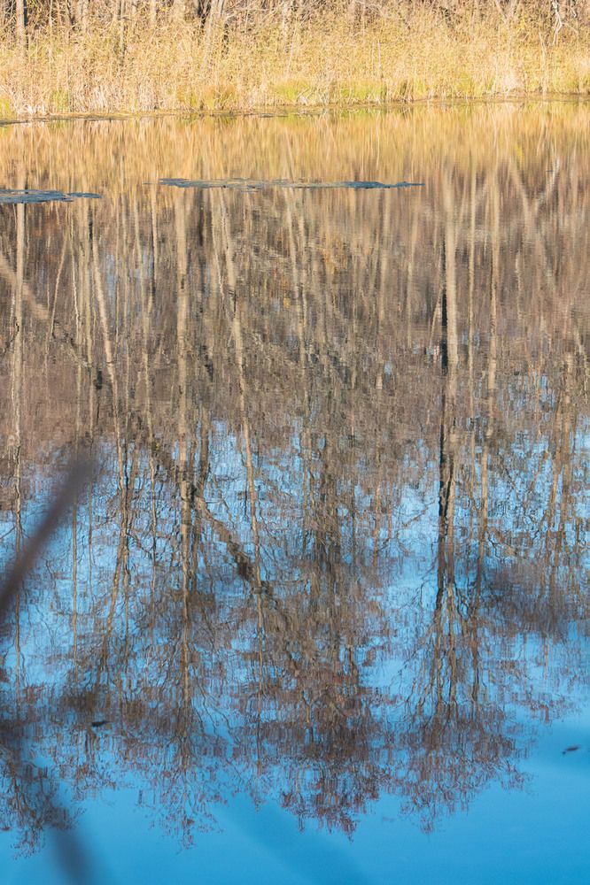 Photograph by Инна Леонтьева