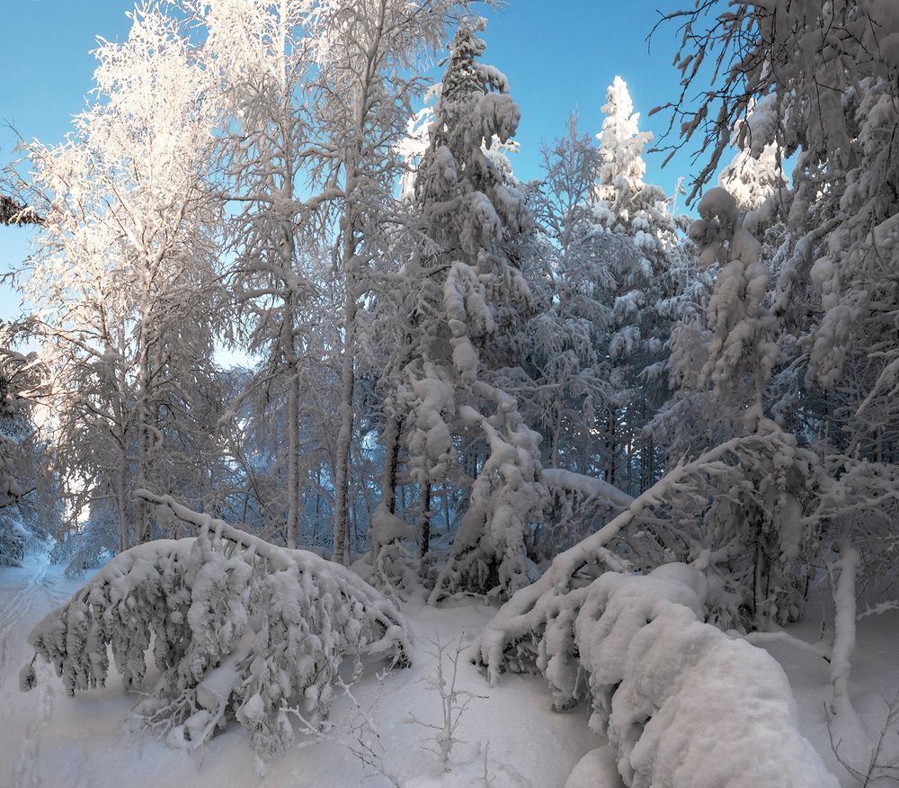 Фотография автора Госпадарёв Александр