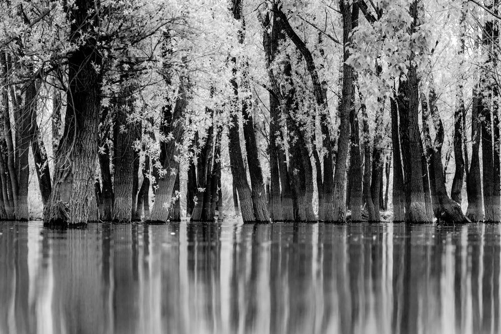 Photograph by Людмила Аксенова