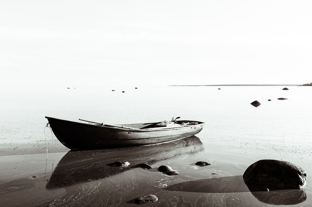 Photograph by Anna Amarova