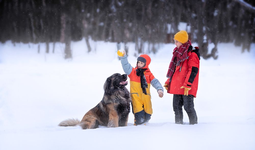 Photograph by Anna Turks