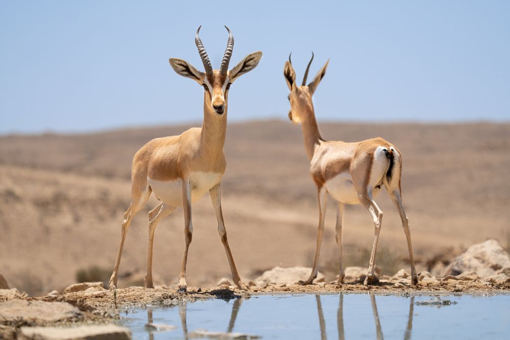 Photograph by Dagmara Giller