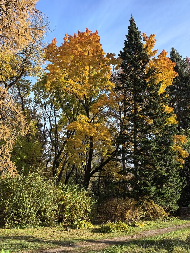 Фотография автора Александр Сипаров