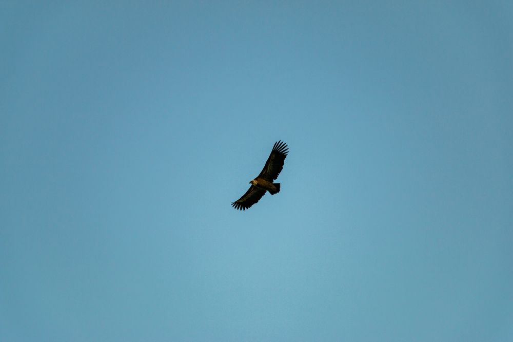 Photograph by Ольга Байгажакова