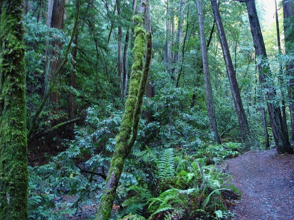 Photograph by Ирина Орлова