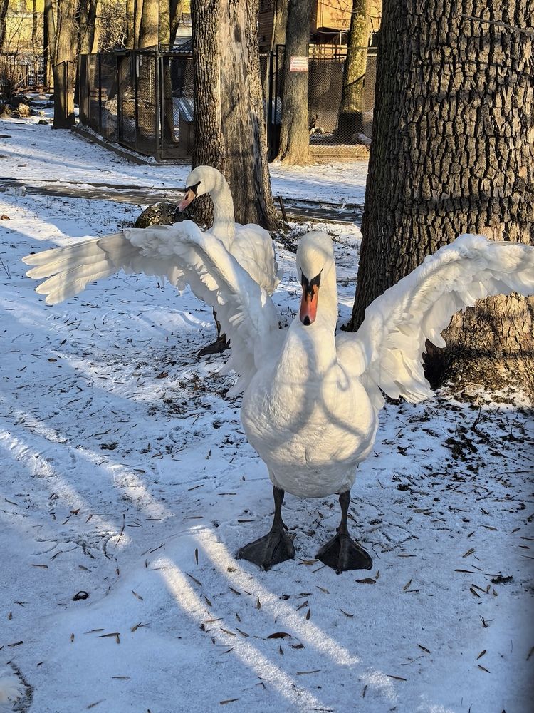 Фотография автора Александр Сипаров
