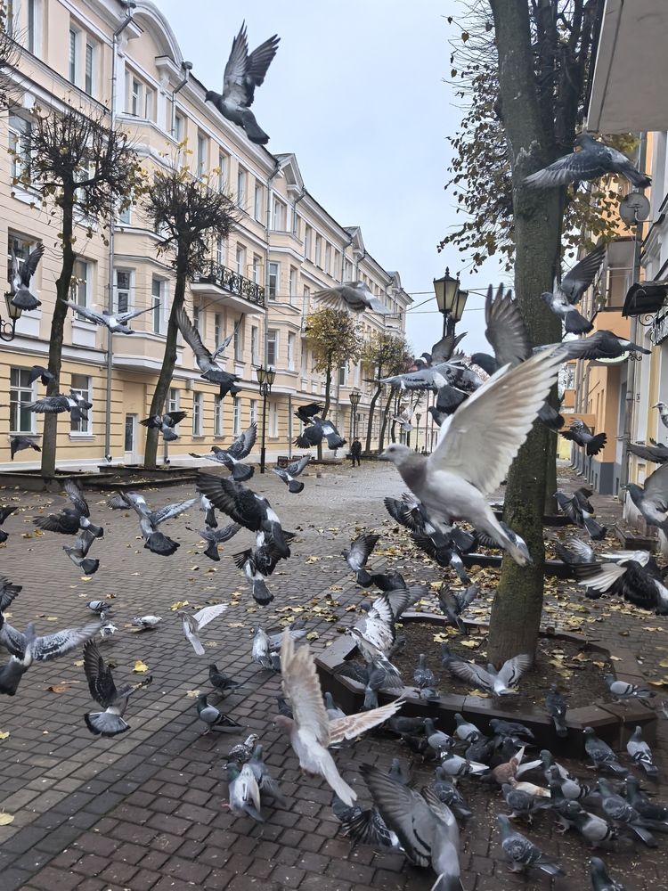 Фотография автора Александр Сипаров