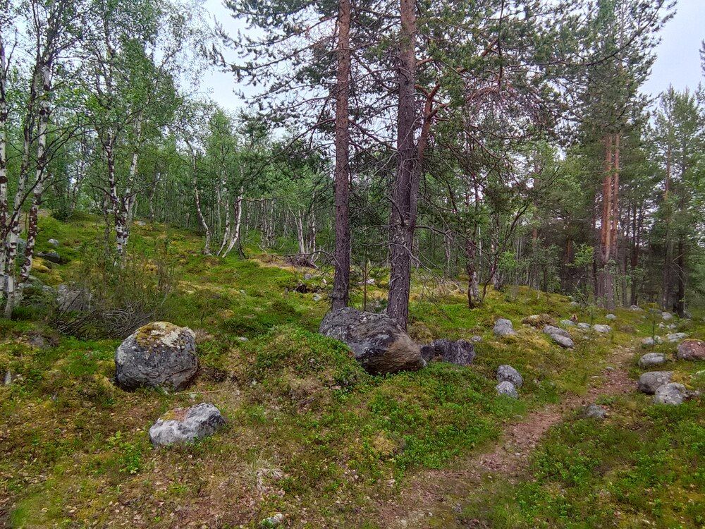 Photograph by Ирина Орлова