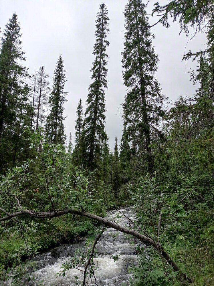 Photograph by Ирина Орлова