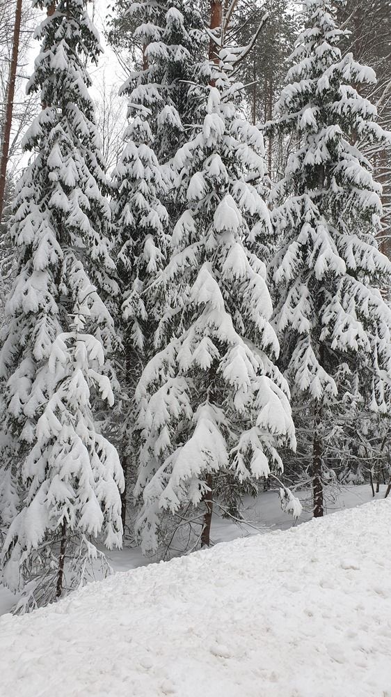 Photograph by Анастасия