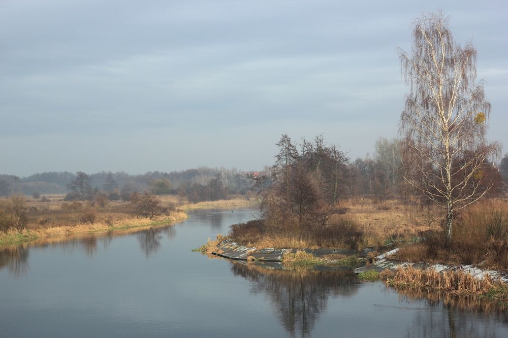 Photograph by Barbara