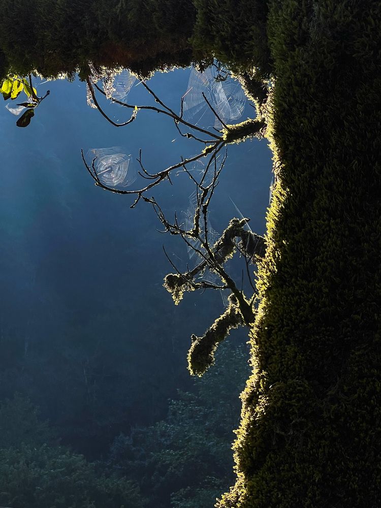 Photograph by Ольга Фатеева