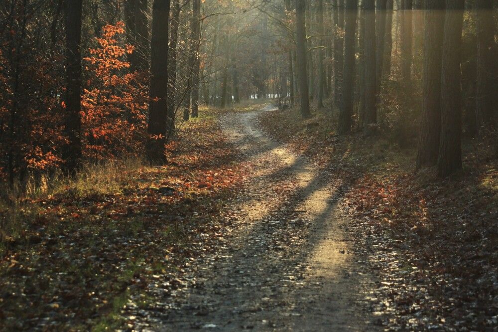 Photograph by Barbara