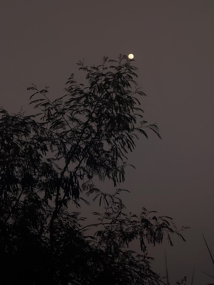 Photograph by Vedant Dhangar