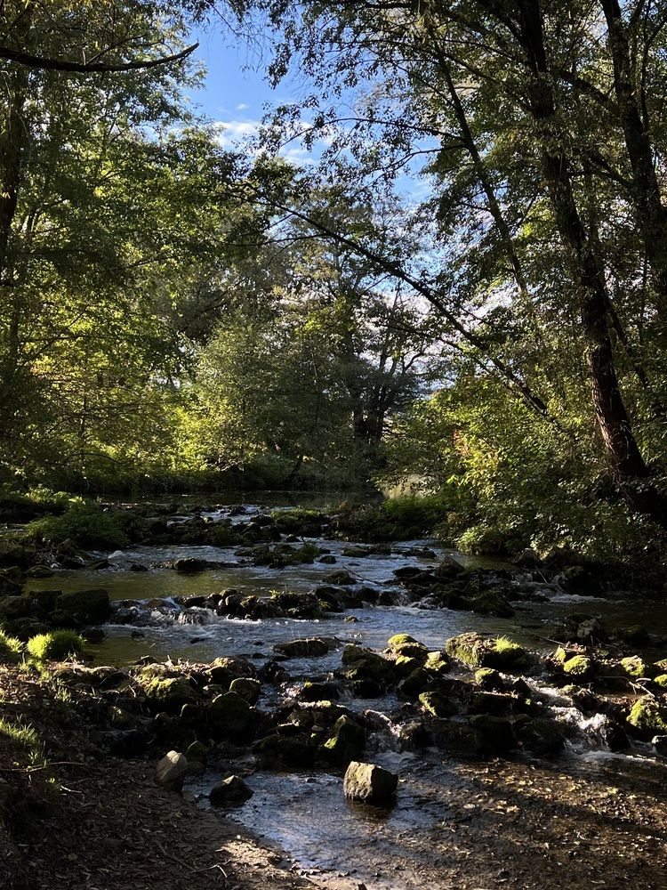 Photograph by Eugenia Schmidt