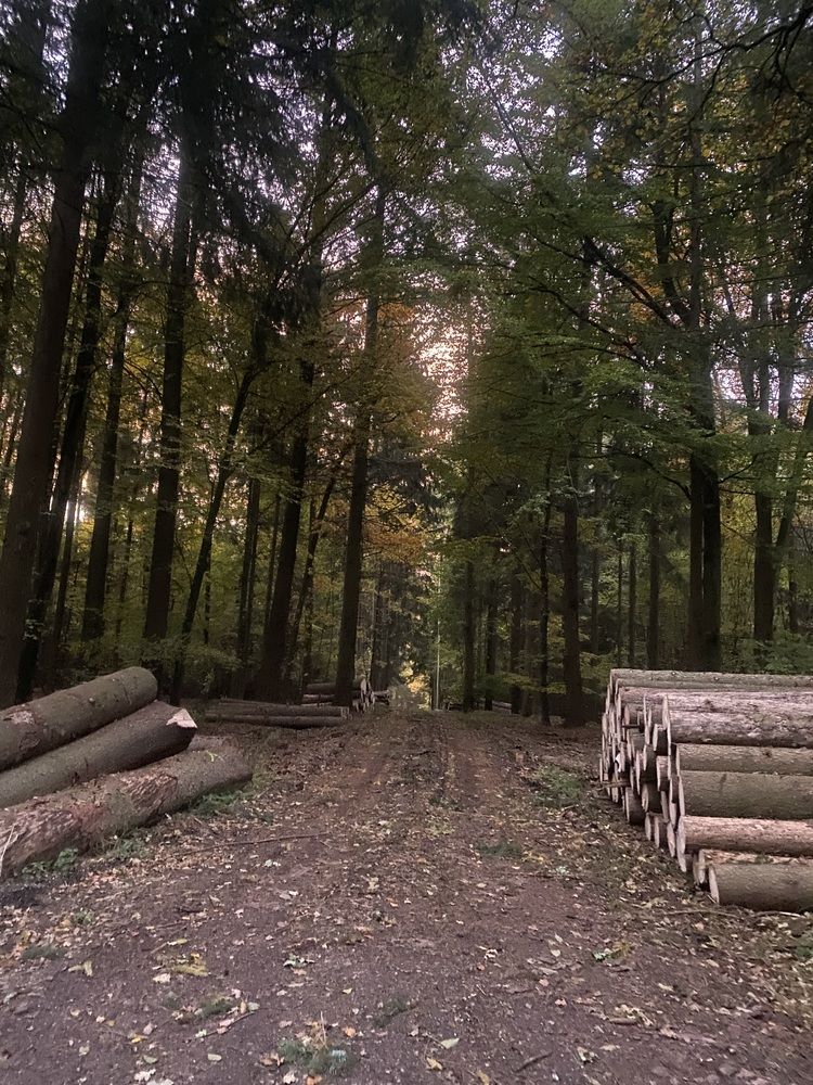 Photograph by Eugenia Schmidt