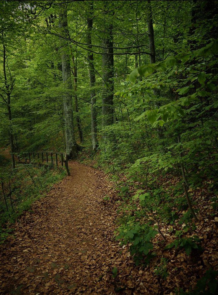 Photograph by Cornelia Ilie