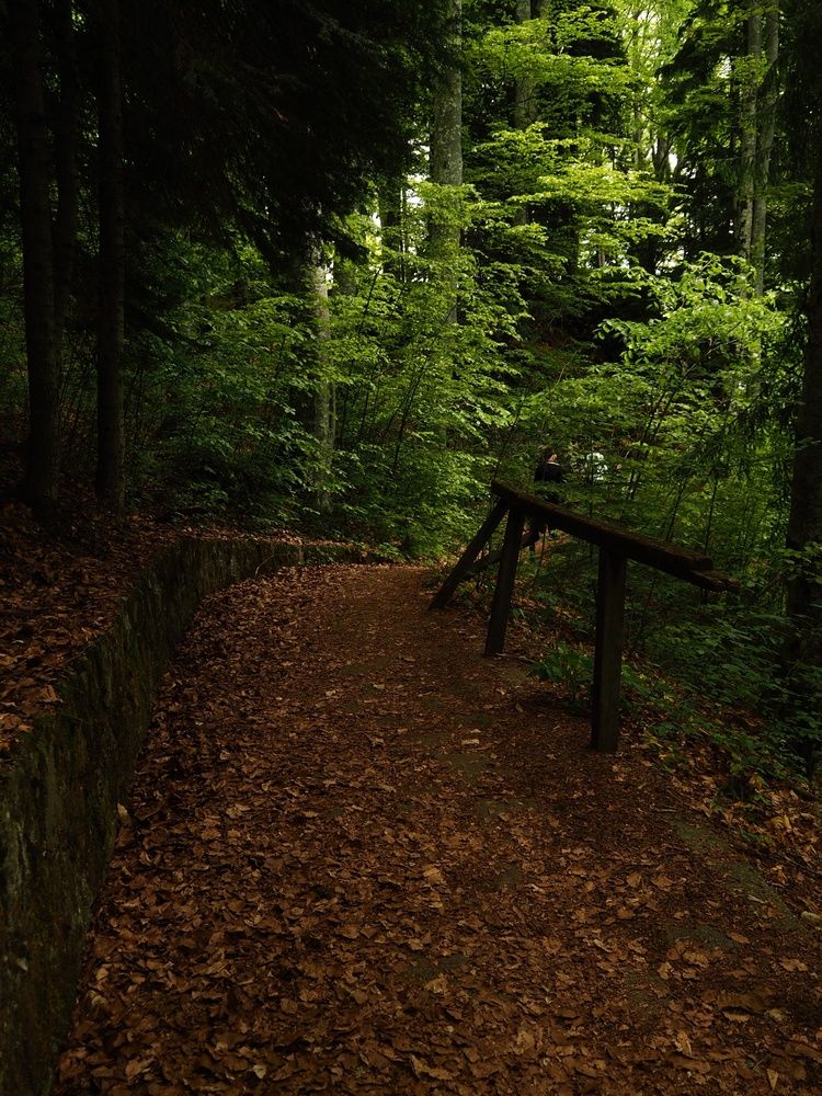 Photograph by Cornelia Ilie