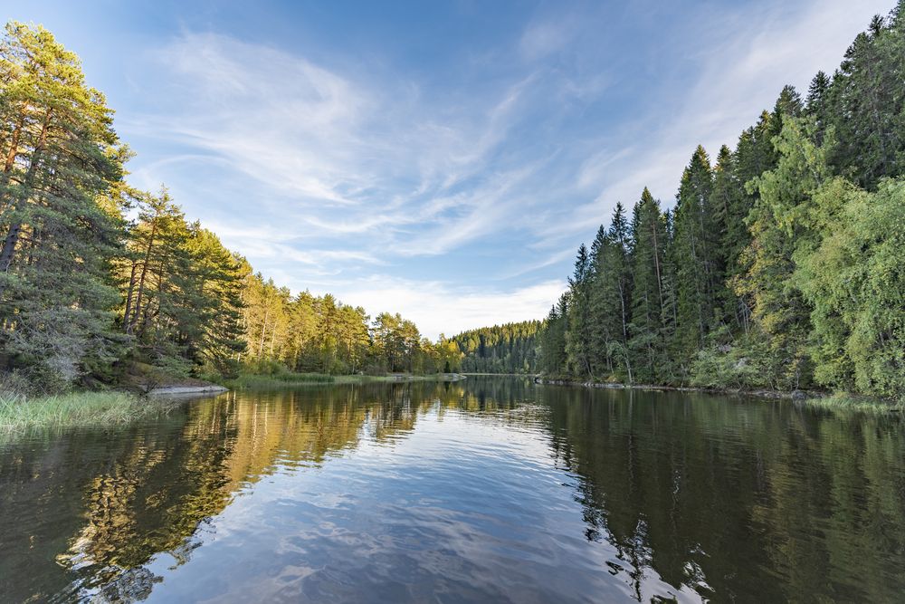 Photograph by Алексей Новиков