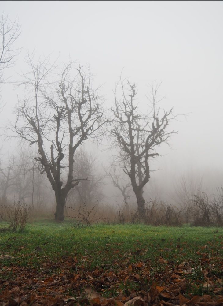 Photograph by Cornelia Ilie