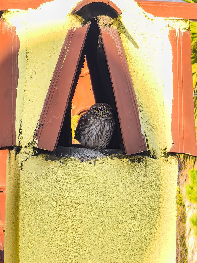 Photograph by Volkan Özdemir