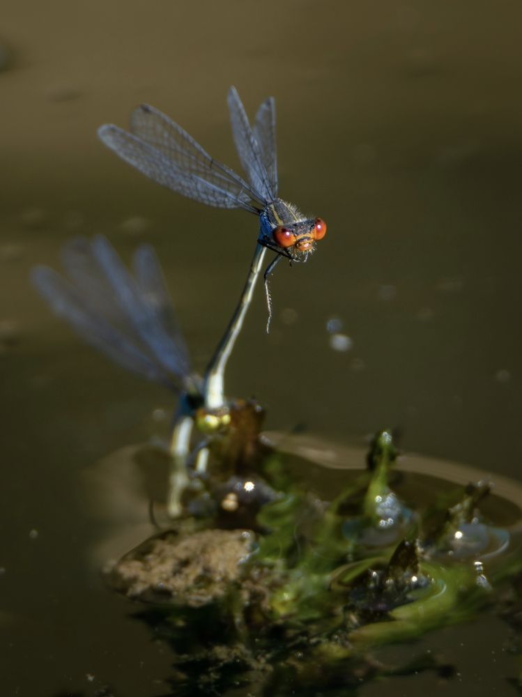 Photograph by Бурыкин Илья